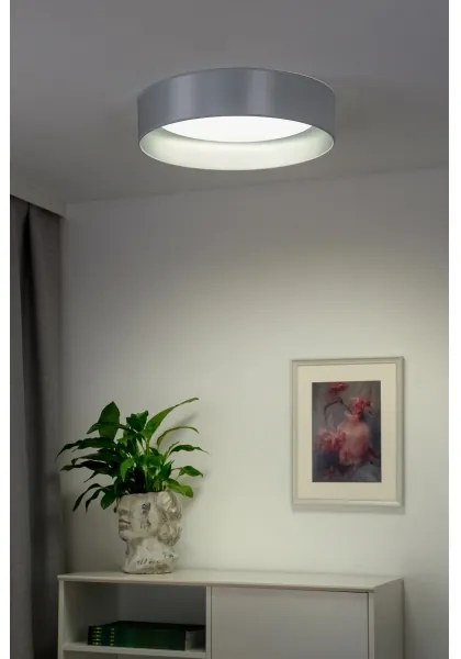 Duolla - LED Stropné svietidlo ROLLER LED/24W/230V pr. 45 cm strieborná