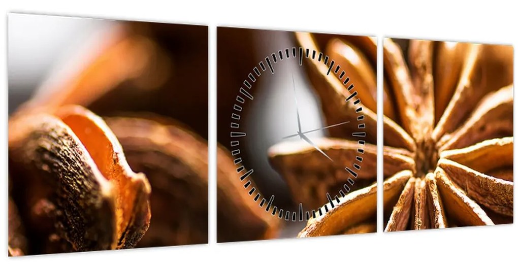 Obraz - Aníz (s hodinami) (90x30 cm)