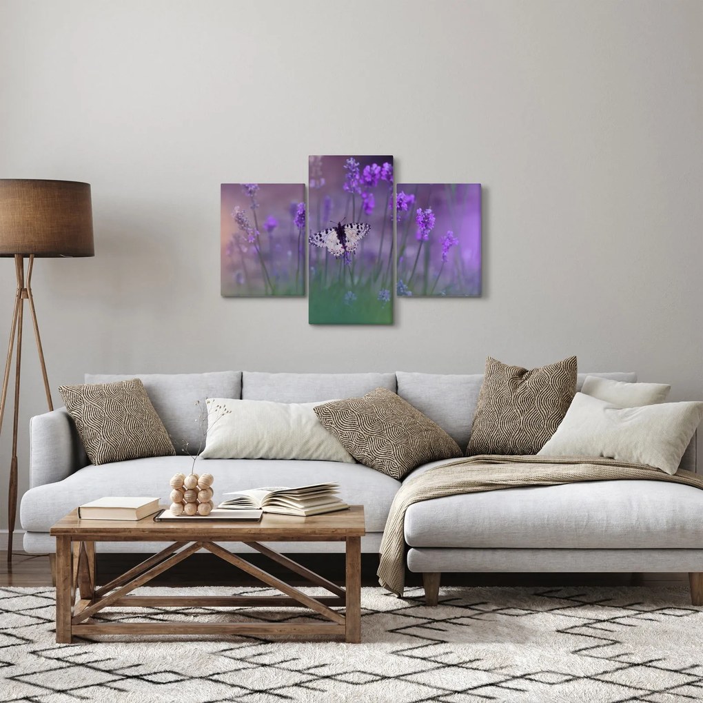 Obraz - Motýľ v levanduli (90x60 cm)