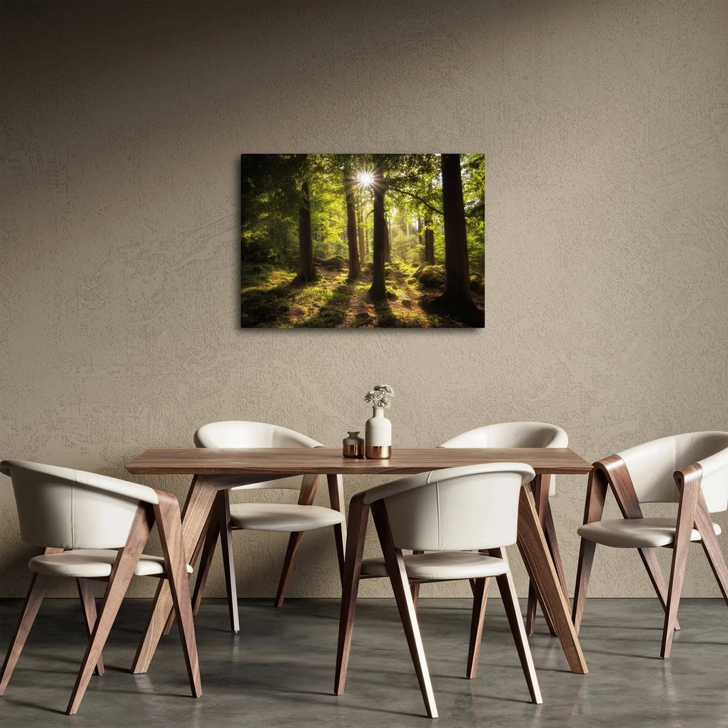 Obraz snového lesa (70x50 cm)
