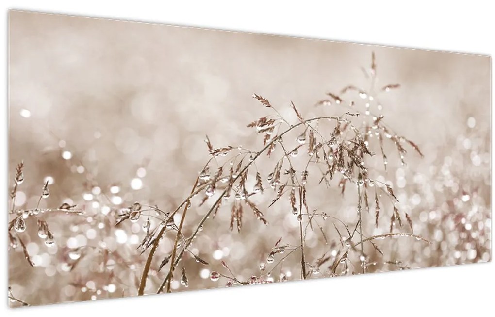 Obraz - Lúka v hnedých tónoch (120x50 cm)