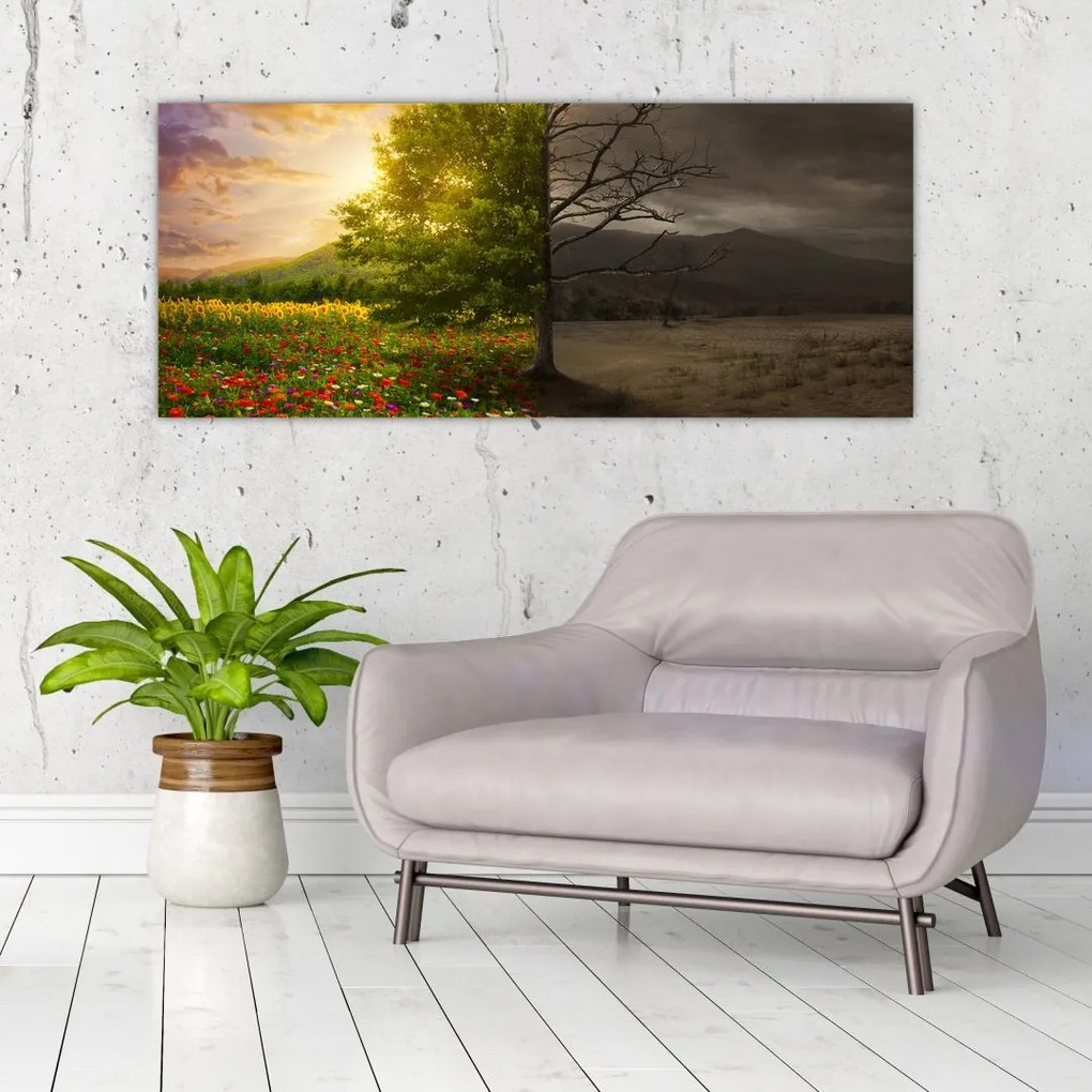 Obraz - Kolobeh života (120x50 cm)