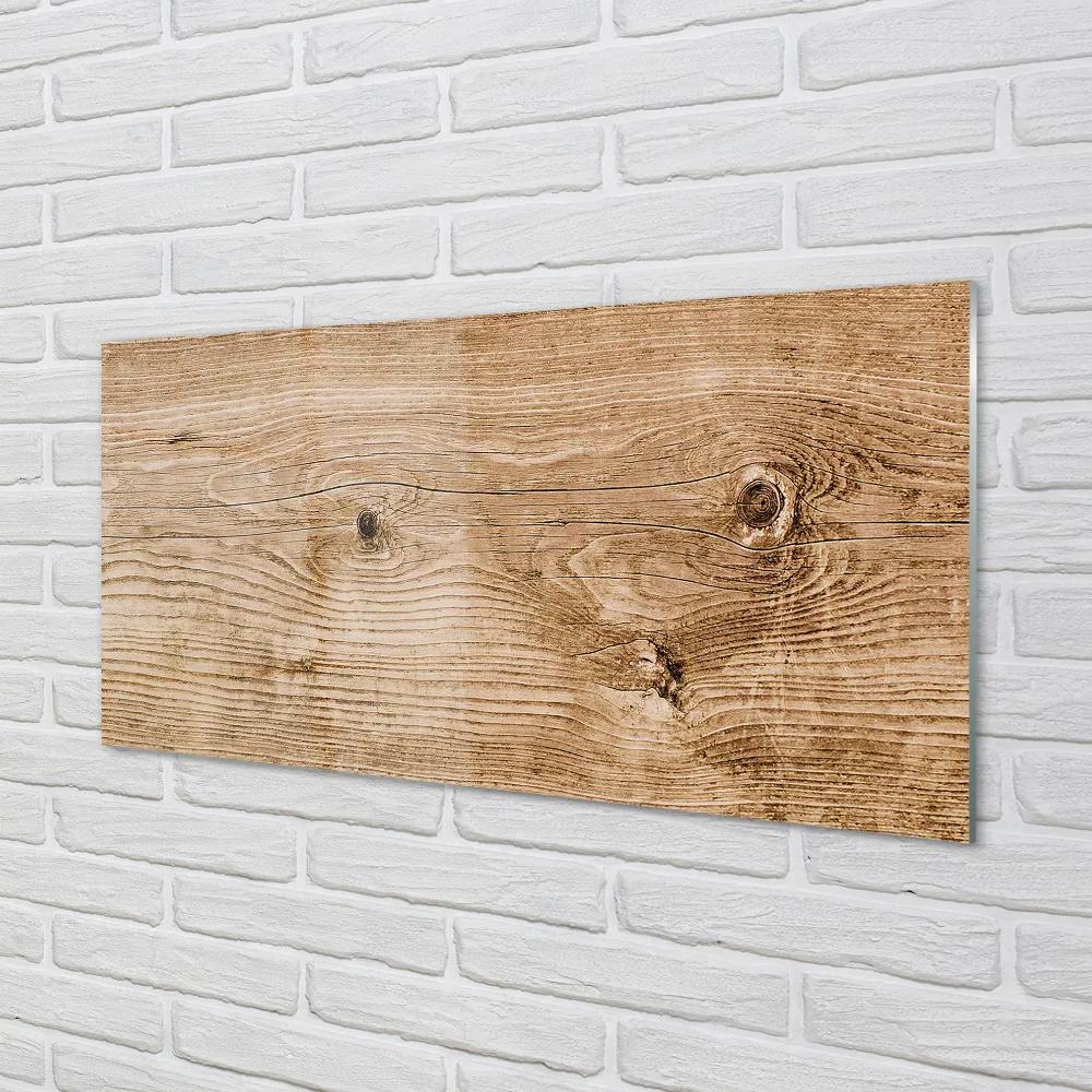Obraz plexi Plank dreva 100x50 cm
