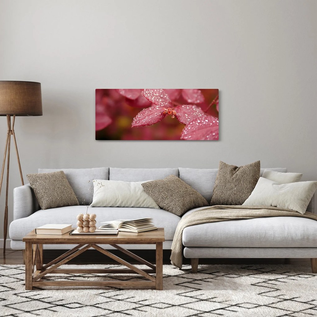 Obraz - Makro snímka lístka (120x50 cm)