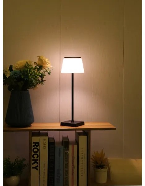 Immax 08492L - LED Stmievateľná vonkajšia solárna lampa LED/4W/5V IP44