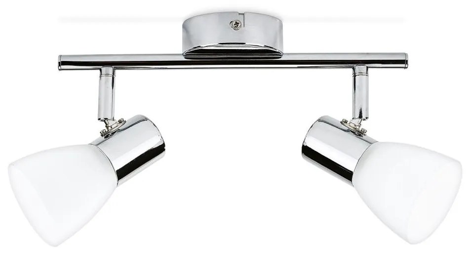 Philips Massive 50242/11/E1 - LED Bodové svietidlo 2xLED/4,3W/230V P1555