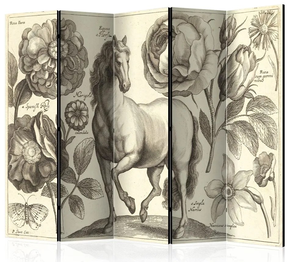 Artgeist Paraván - Horse II [Room Dividers]