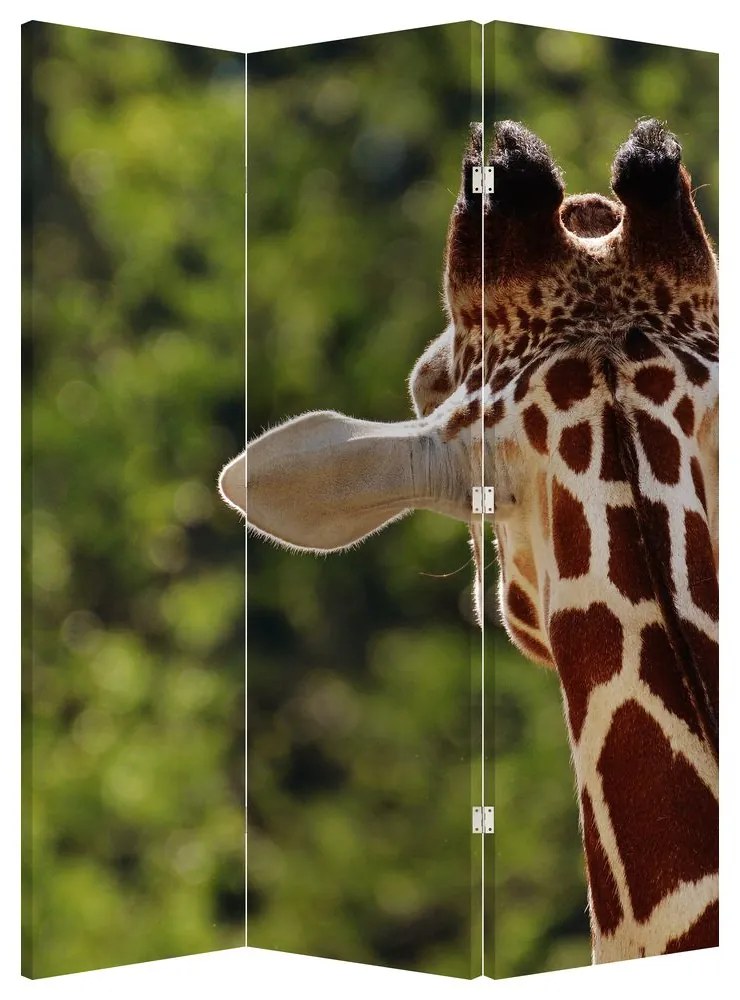 Paraván - Žirafa zozadu (126x170 cm)