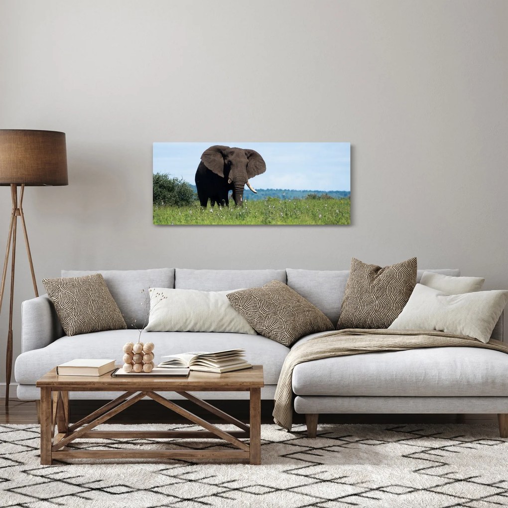 Obraz slona (120x50 cm)