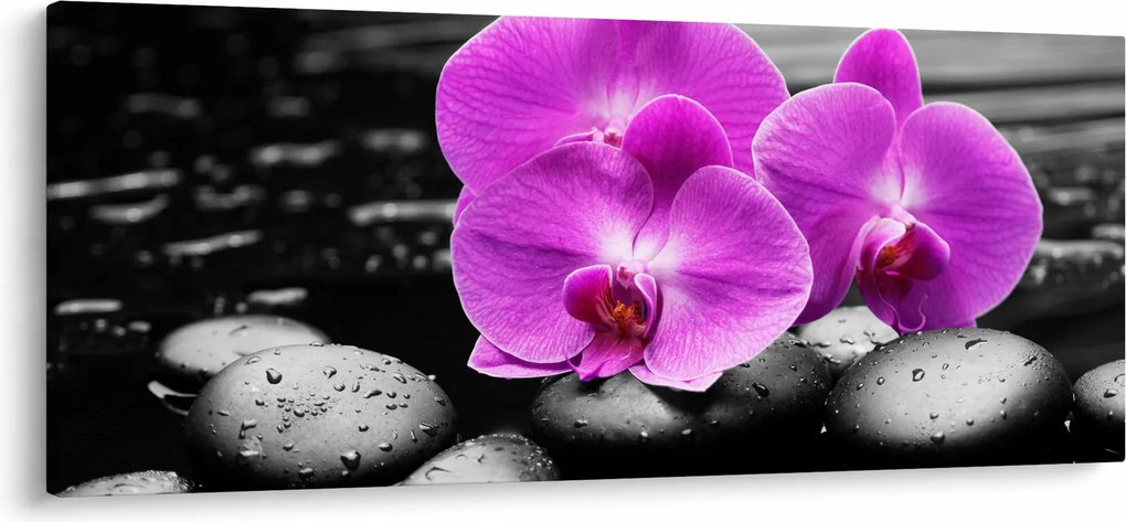 Obraz - Fialové orchidey (120x50 cm)