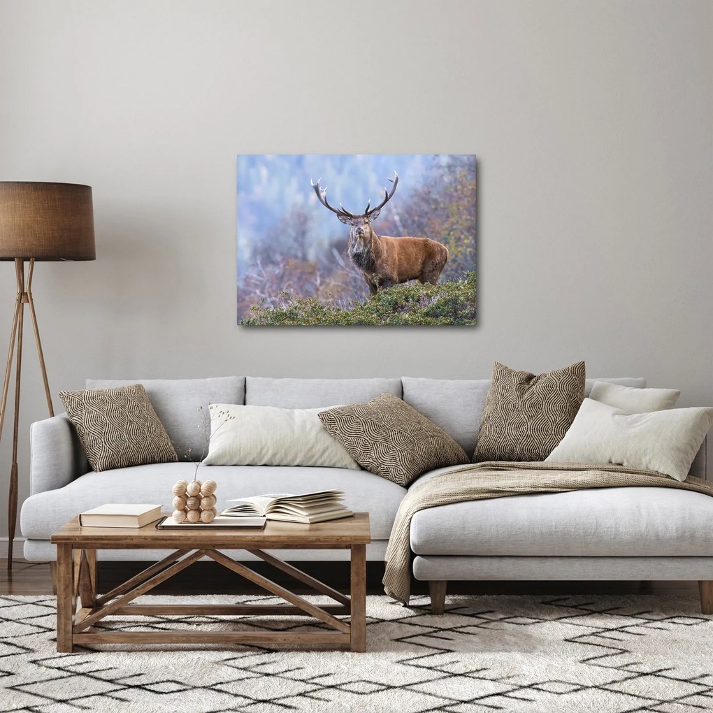 Obraz - Jeleň v krajine (70x50 cm)