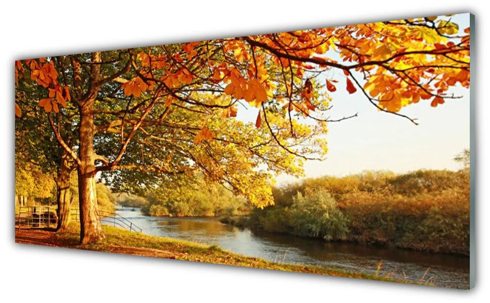 Obraz plexi Strom jazero príroda 125x50 cm