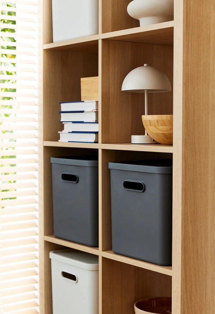 Rotho Úložný box, rovný s vekom, 27l, antracit ALBU LIGHT, 37x29x30