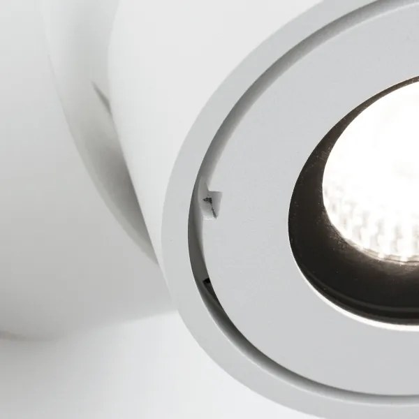 Orion AL 11-1220 - LED kúpeľňové bodové svietidlo HARVEY LED/15W/230V IP65 biele