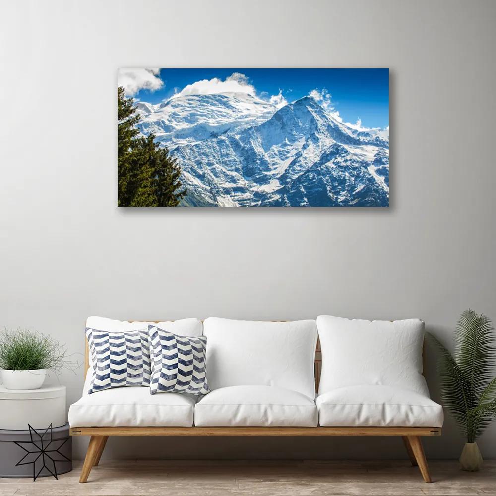 Obraz na plátne Hora strom príroda 120x60 cm