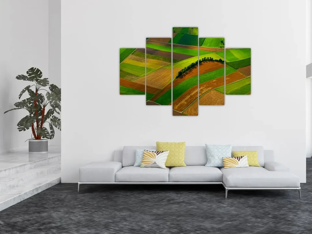 Obraz - Polia, lúky (150x105 cm)