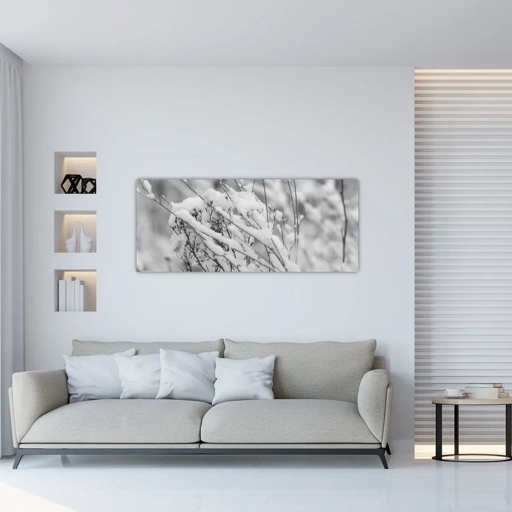 Obraz - Zasnežené vetvy (120x50 cm)
