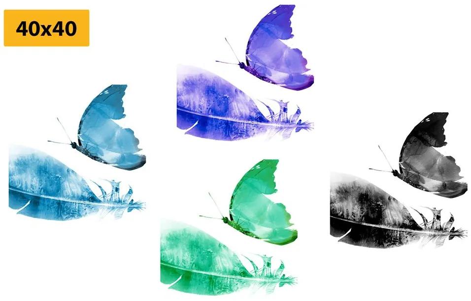 Set obrazov farebné motýle Varianta: 4x 40x40