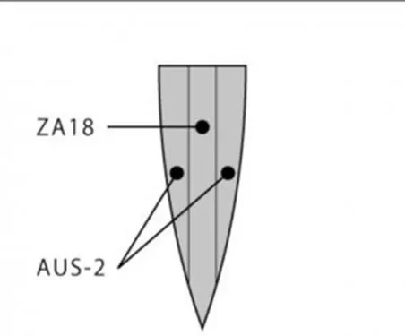 nůž Slice / Sashimi 210 mm Kanetsugu PRO-J Hammer