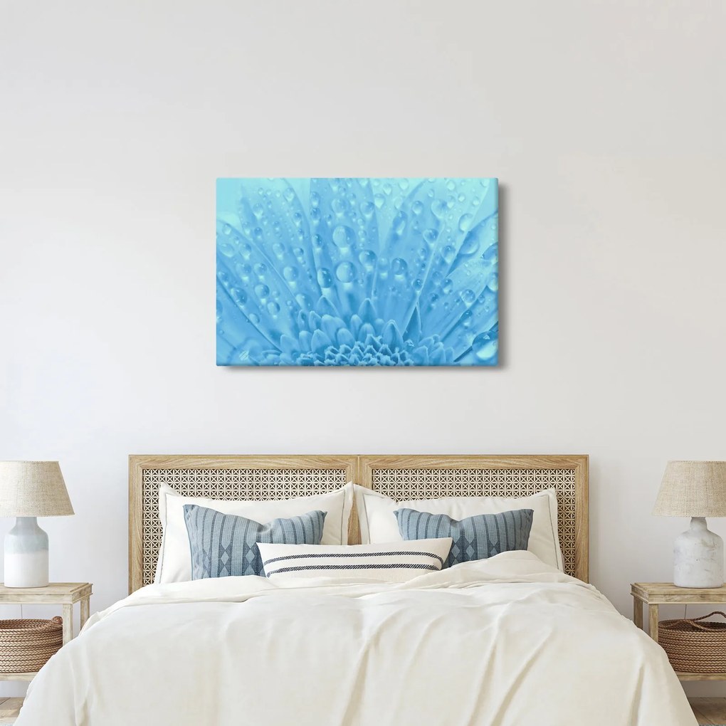 Obraz - Makro záber kvetu (90x60 cm)