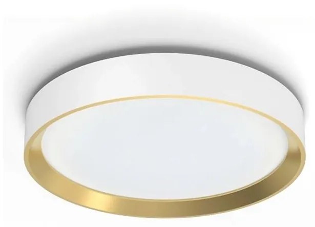 Philips - LED Stmievateľné stropné svietidlo HANNO LED/24W/230V 2700K biela P6227