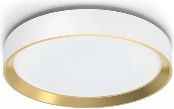 Philips - LED Stmievateľné stropné svietidlo HANNO LED/24W/230V 2700K biela