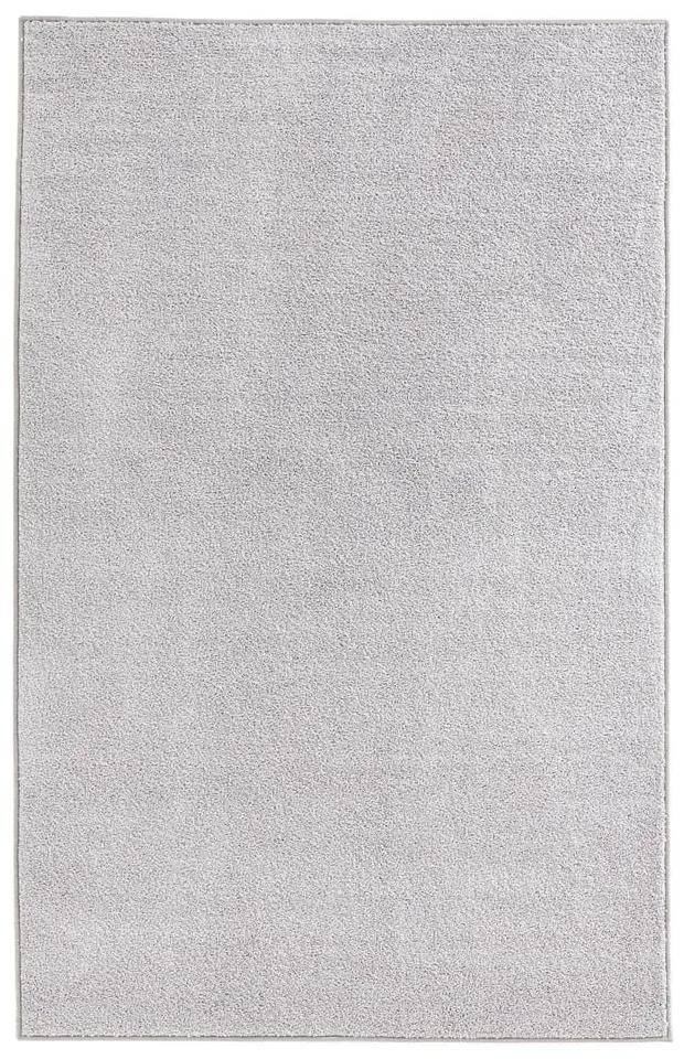 Svetlosivý koberec Hanse Home Pure, 200 x 300 cm