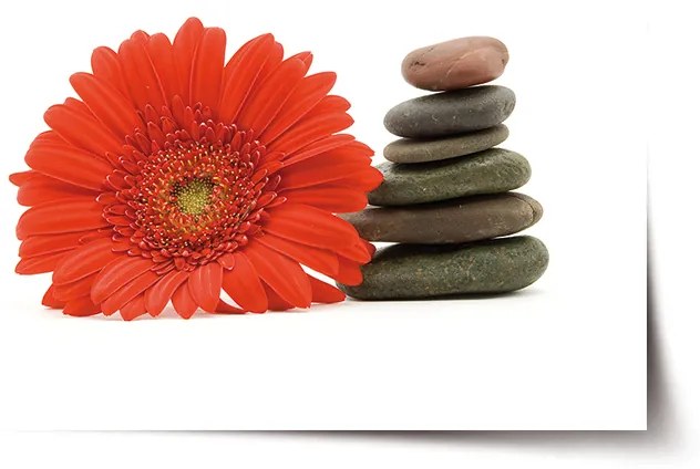 Sablio Plagát Gerbera s kameňmi - 90x60 cm