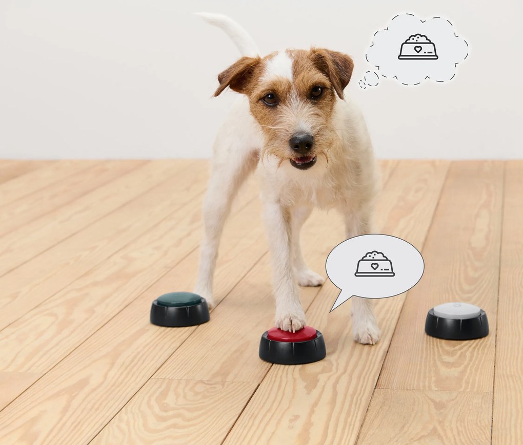 3 tréningové tlačidlá pre psov