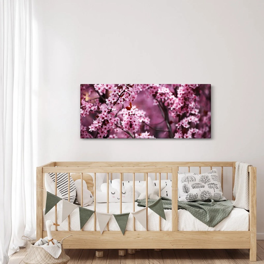 Obraz - Ružová sakura (120x50 cm)