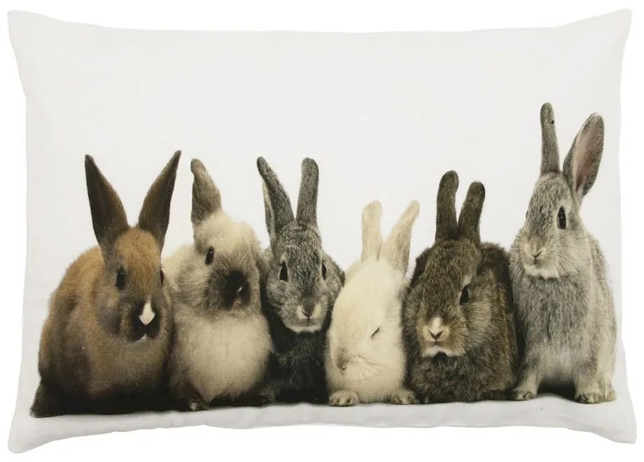 Biely bavlnený vankúš s zajačikov Rabbi - 50 * 10 * 35cm