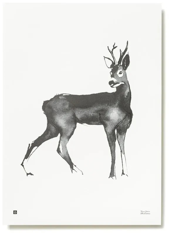 Plagát Roe Deer 50x70