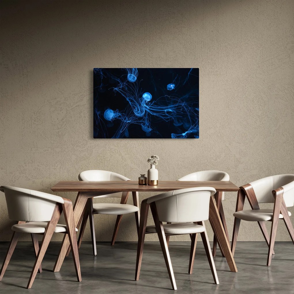 Obraz - Medúzy (90x60 cm)