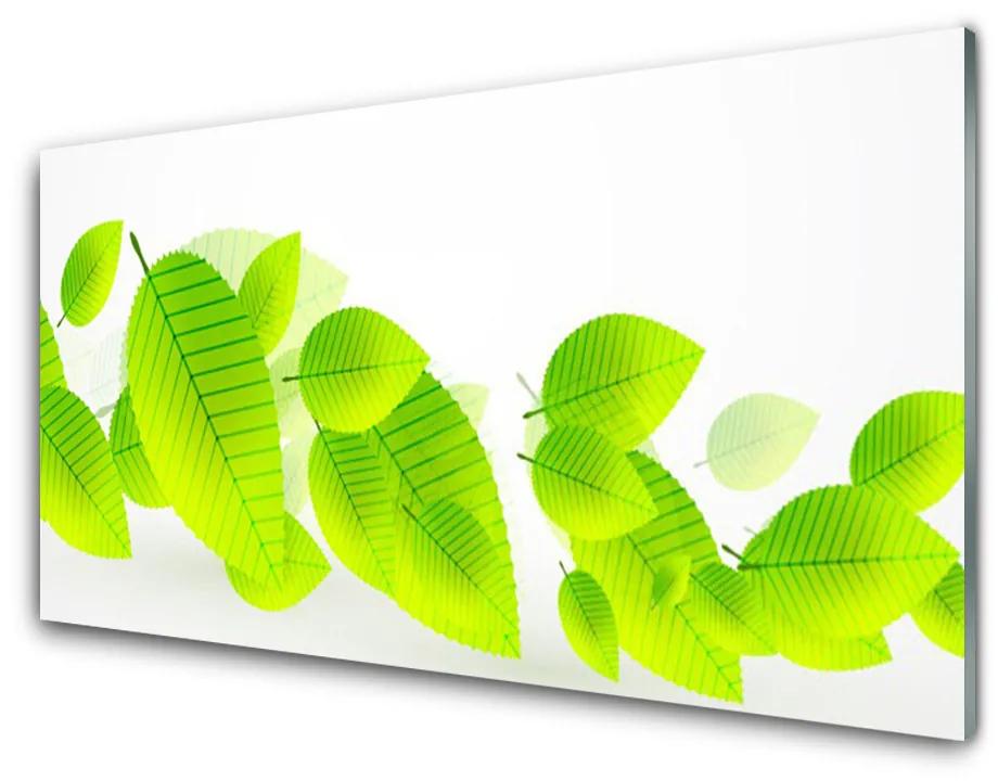 Obraz plexi Listy kvety príroda 125x50 cm