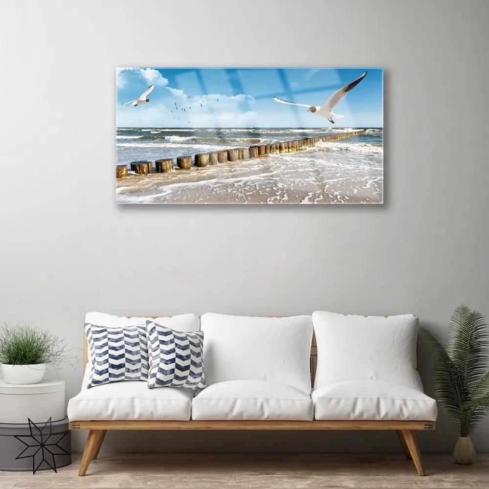 Skleneny obraz Čajky more príroda 125x50 cm
