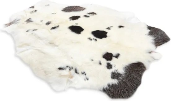 Koberec RENIFER POK007 krémový / sivý