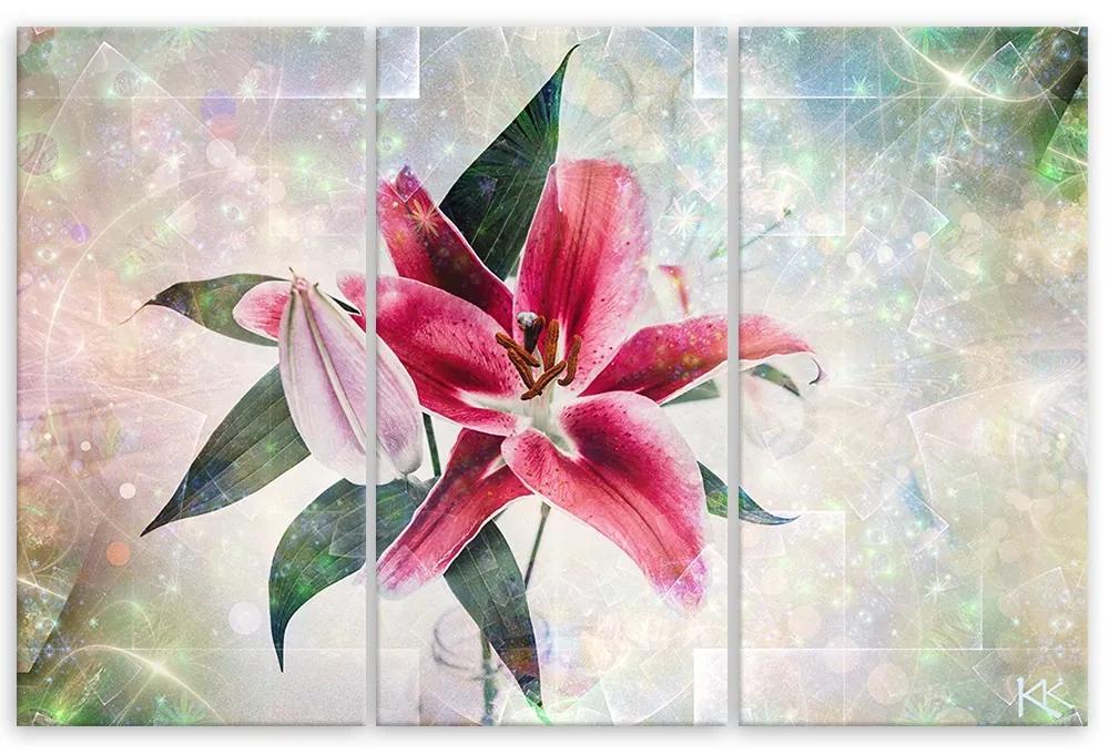 Obraz na plátně třídílný, Pink Lily - 150x100 cm