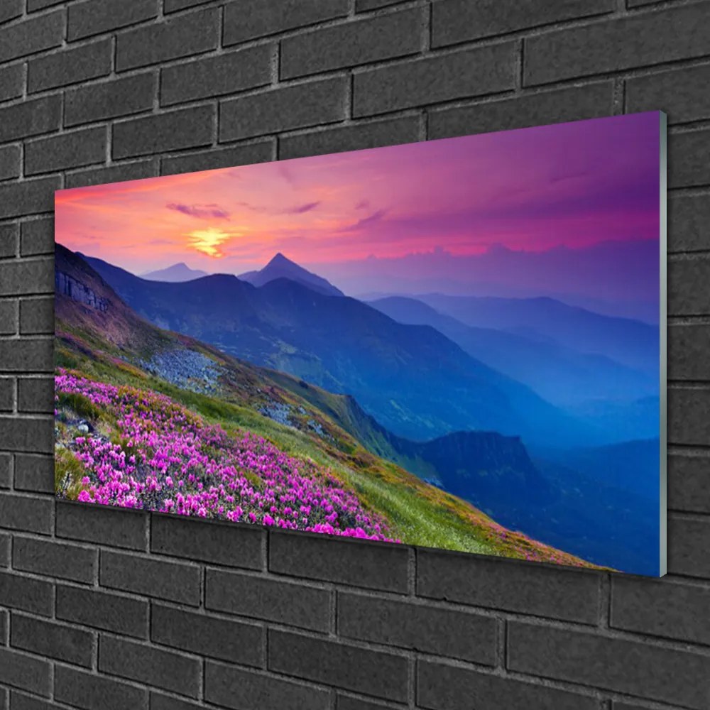 Obraz na skle Hory lúka kvety príroda 120x60 cm