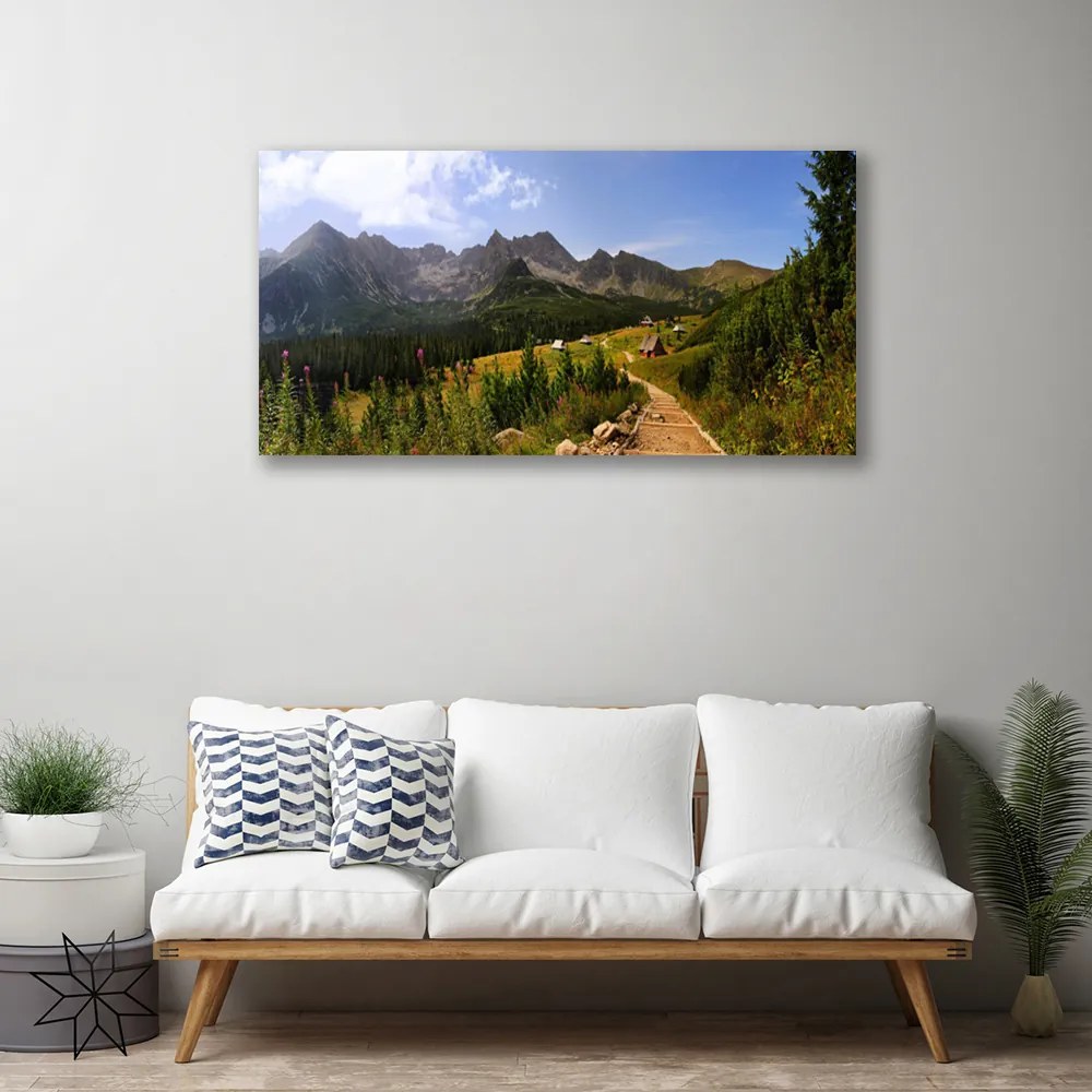 Obraz Canvas Hala góry droga natura łąka 120x60 cm