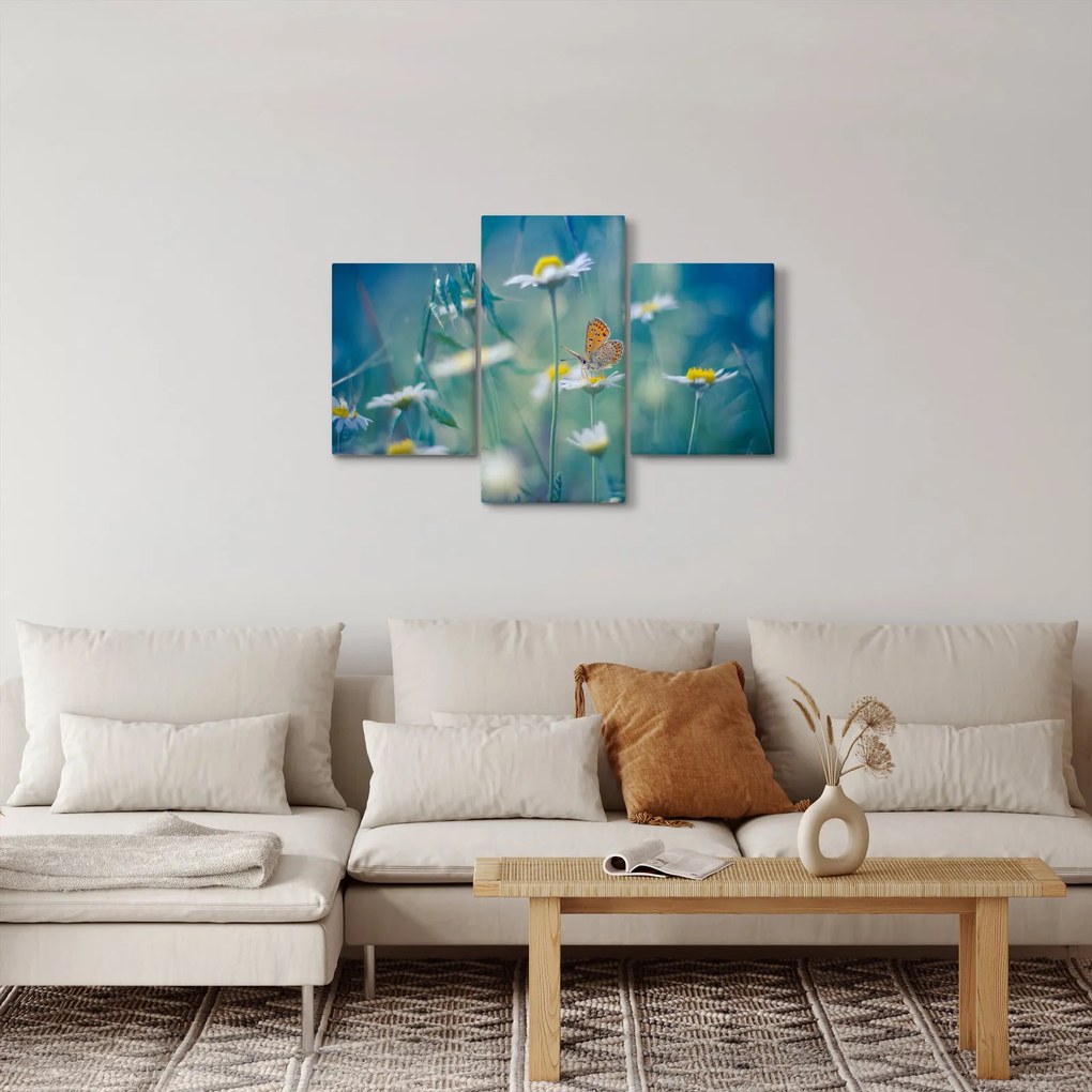 Obraz - Motýľ na sedmokráske (90x60 cm)