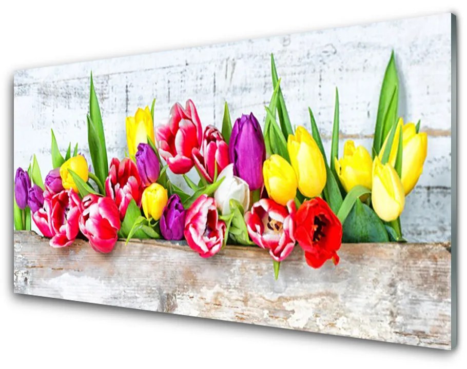 Obraz plexi Tulipány kvety príroda 120x60 cm