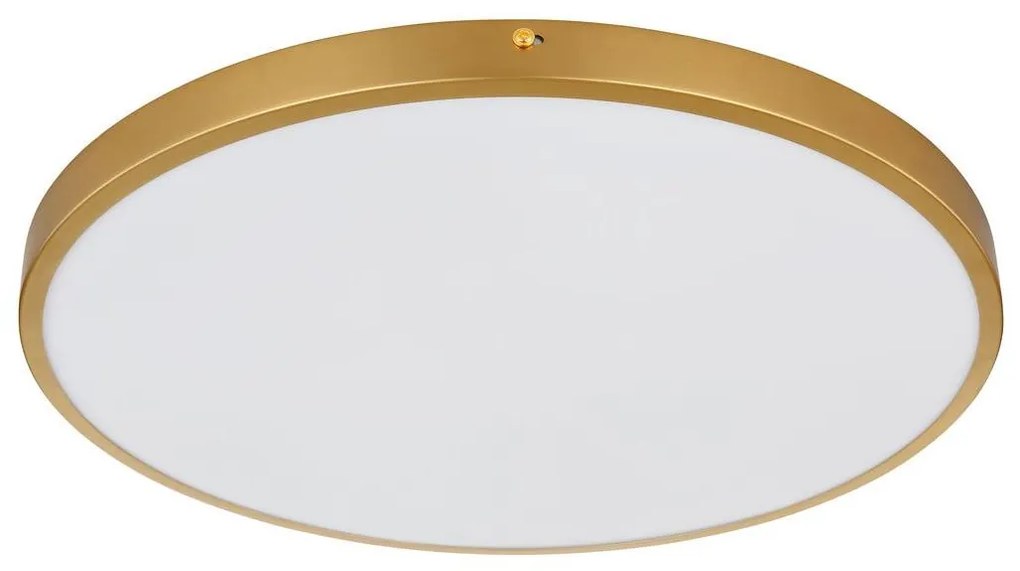 Globo 12381-30 - LED Stropné svietidlo TIBEY LED/30W/230V pr. 45 cm