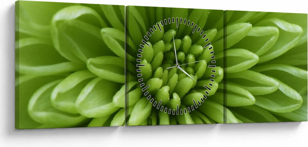 Obraz - Makro snímka rastliny (s hodinami) (90x30 cm)