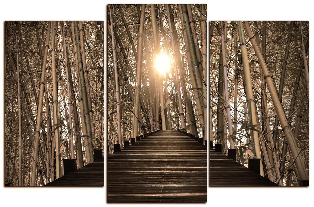 Obraz na plátne - Drevená promenáda v bambusovom lese 1172FC (105x70 cm)
