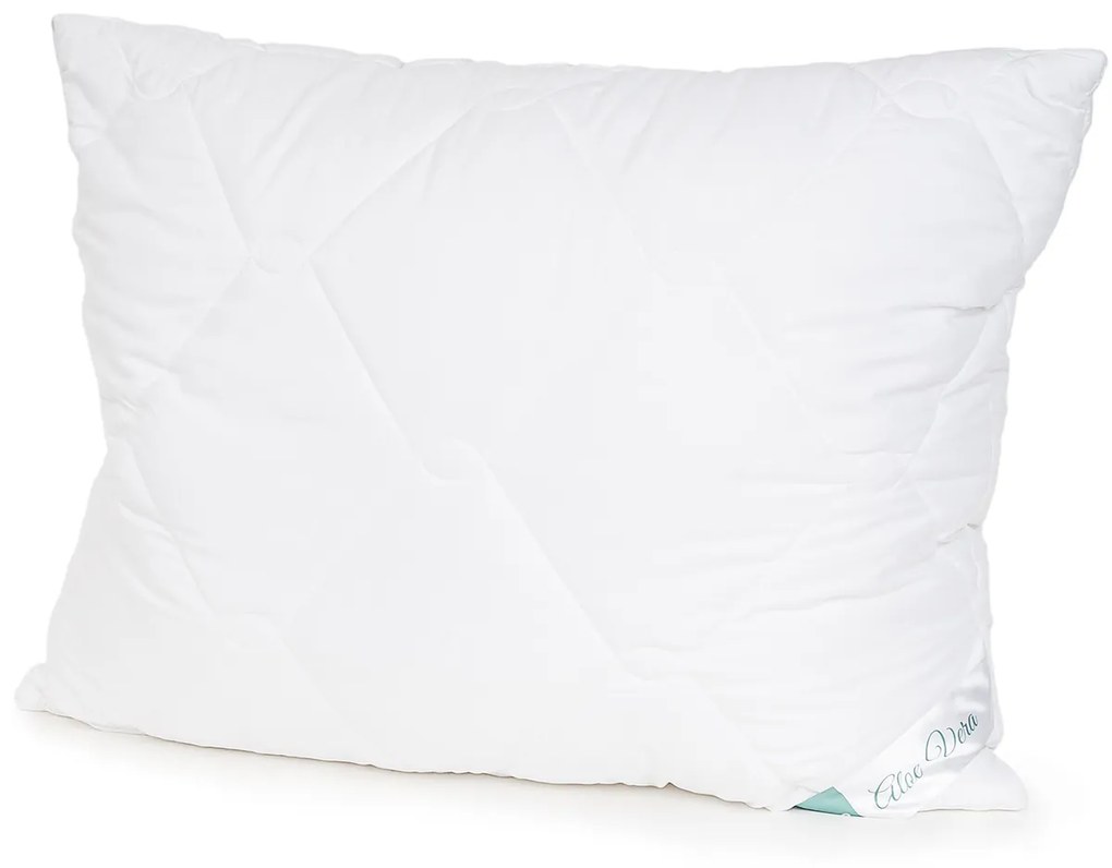 4Home Set prikrývky a vankúša Aloe Premium, 140 x 220 cm, 70 x 90 cm, 140 x 220 cm, 70 x 90 cm