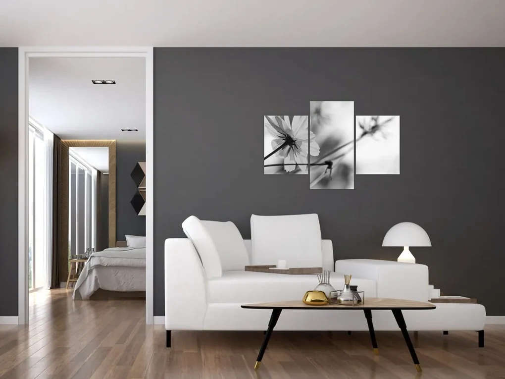 Obraz - Čiernobiele kvety (90x60 cm)