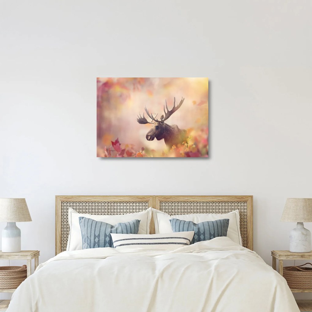 Sklenený obraz - Sob v jesennom lístí (70x50 cm)