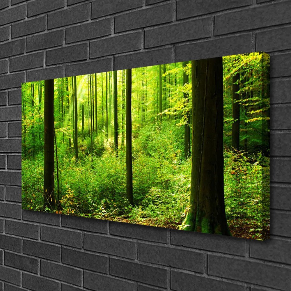 Obraz Canvas Les zeleň stromy príroda 140x70 cm