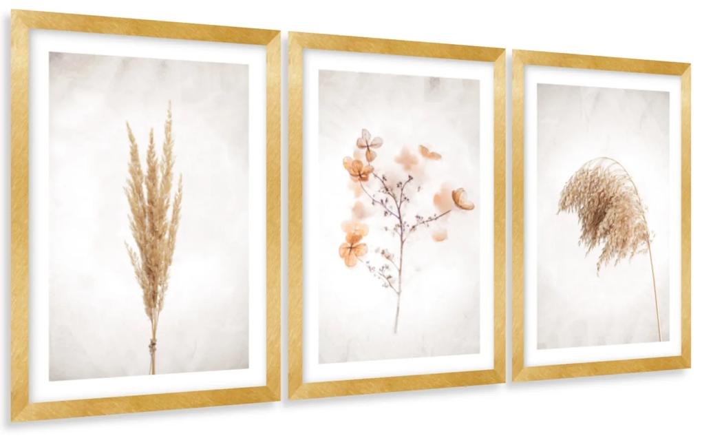 Gario Sada plagátov Dry nature - 3 dielna Farba rámu: Zlatá, Veľkosť: 135 x 63 cm