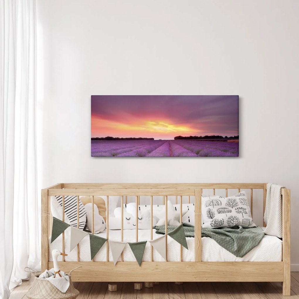 Obraz - Levanduľové pole (120x50 cm)